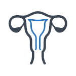 Sports Dry Needling & Dry Cupping